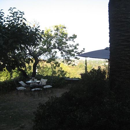 ליבורנו B&B Villa Panicucci מראה חיצוני תמונה
