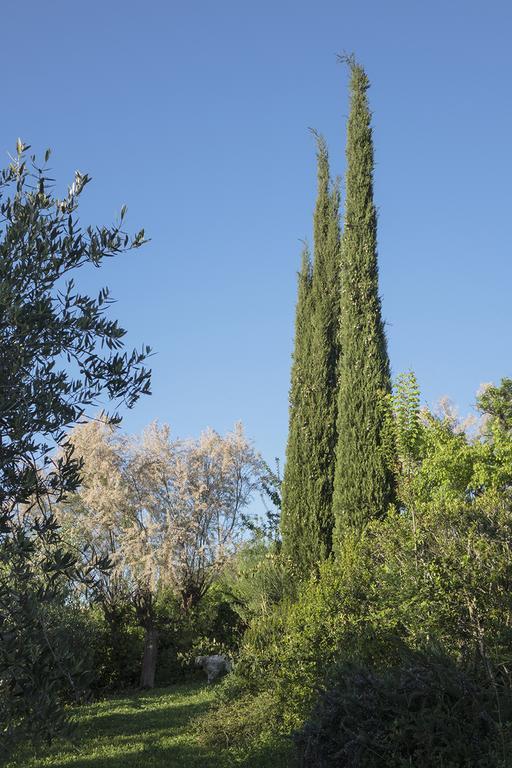 ליבורנו B&B Villa Panicucci מראה חיצוני תמונה